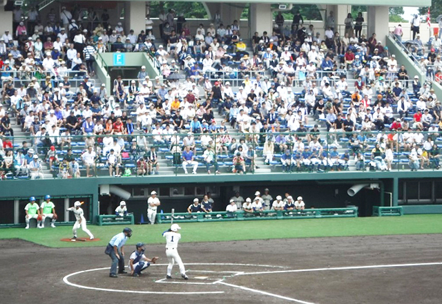 野球場 本球場 栃木県総合運動公園北 中央エリア